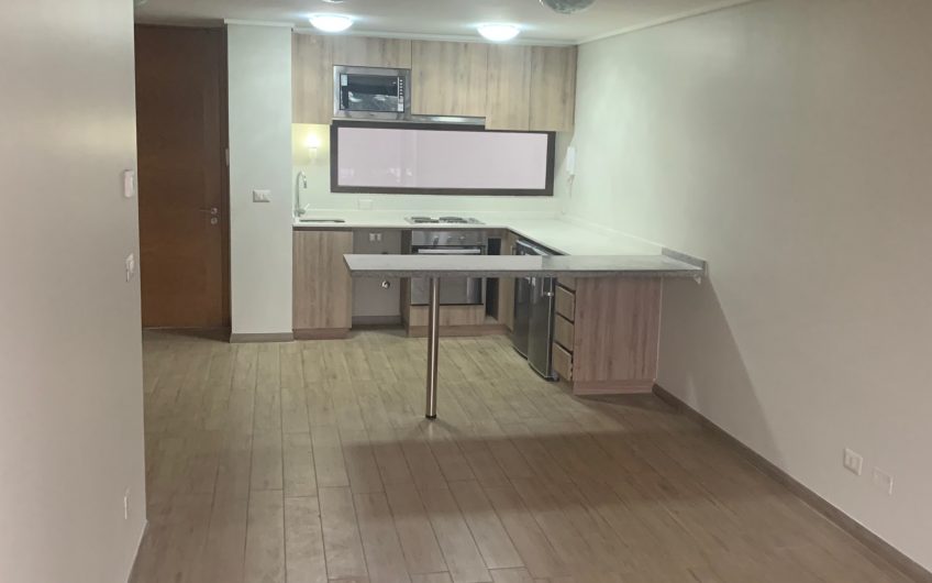 Se Arrienda Excelente Departamento en Providencia