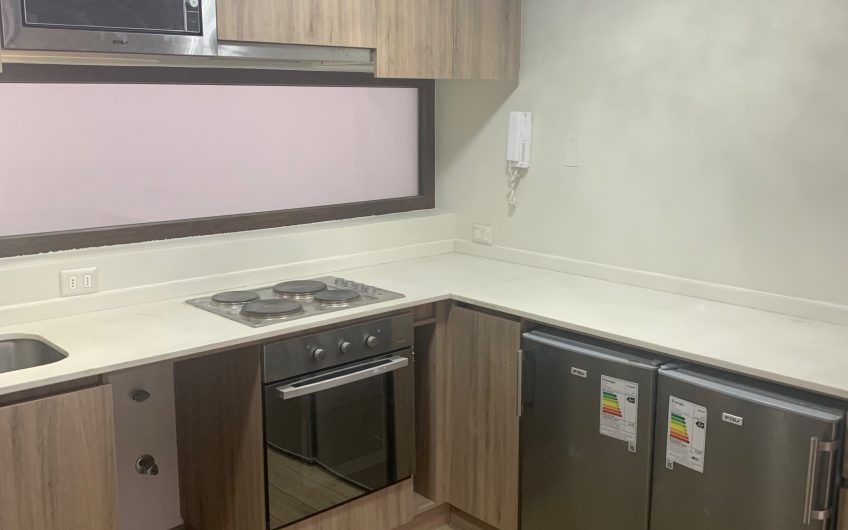 Se Arrienda Excelente Departamento en Providencia