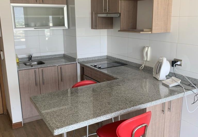 Se arrienda excelente departamento estilo mariposa