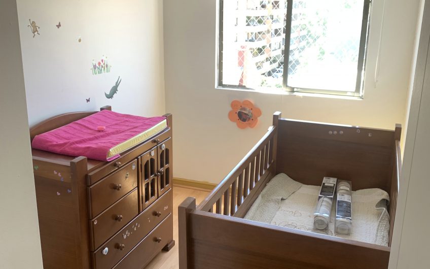 Se Arrienda Excelente Departamento en Clasico Sector Residencial de Ñuñoa
