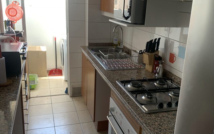 Se Arrienda Excelente Departamento en Clasico Sector Residencial de Ñuñoa
