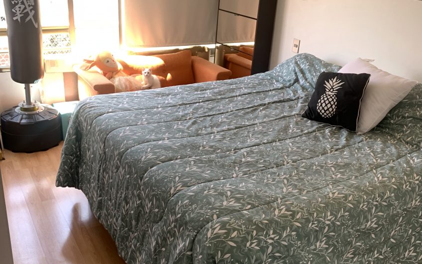 Se Arrienda Excelente Departamento en Clasico Sector Residencial de Ñuñoa