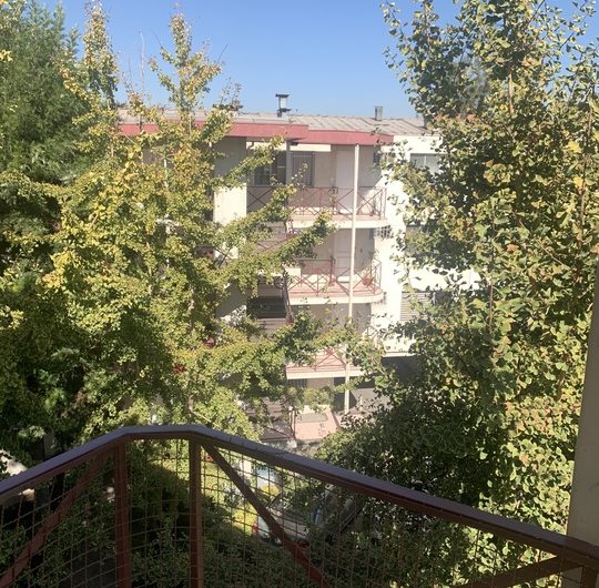 Se Arrienda Departamento en Clásico Sector de Ñuñoa