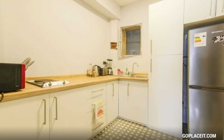 Se Arrienda Amplio departamento en Barrio Bellas Artes