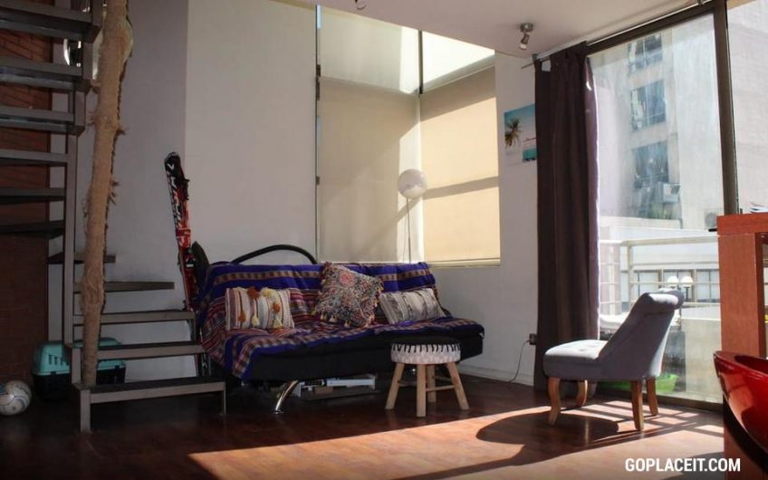 Se Arrienda Excelente Duplex en Barrio Lastarria en Santiago Centro