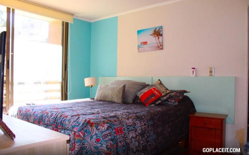 Se Arrienda Excelente Duplex en Barrio Lastarria en Santiago Centro
