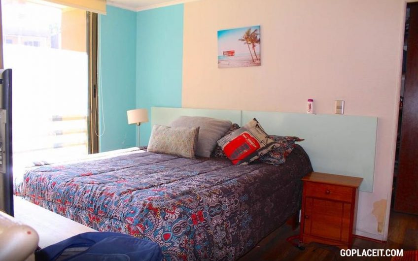 Se Arrienda Excelente Duplex en Barrio Lastarria en Santiago Centro