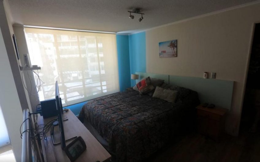 Se Arrienda Excelente Duplex en Barrio Lastarria en Santiago Centro