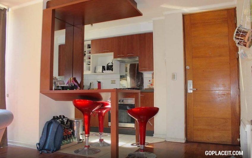 Se Arrienda Excelente Duplex en Barrio Lastarria en Santiago Centro