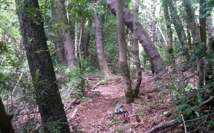 Terreno en venta en reserva de las 7 tazas