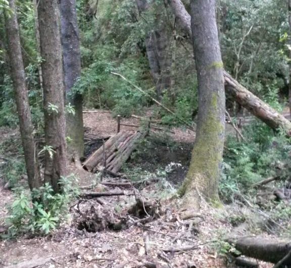 Terreno en venta en reserva de las 7 tazas