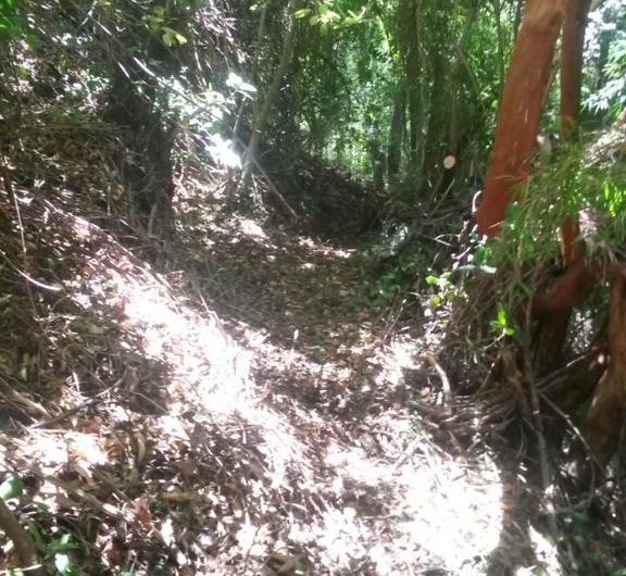 Terreno en venta en reserva de las 7 tazas