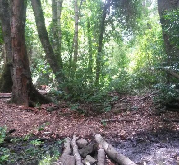 Terreno en venta en reserva de las 7 tazas