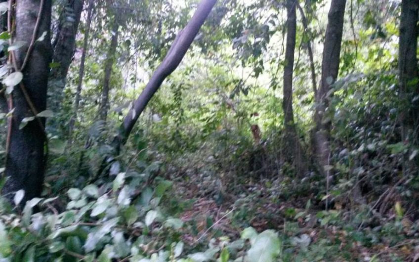 Terreno en venta en reserva de las 7 tazas
