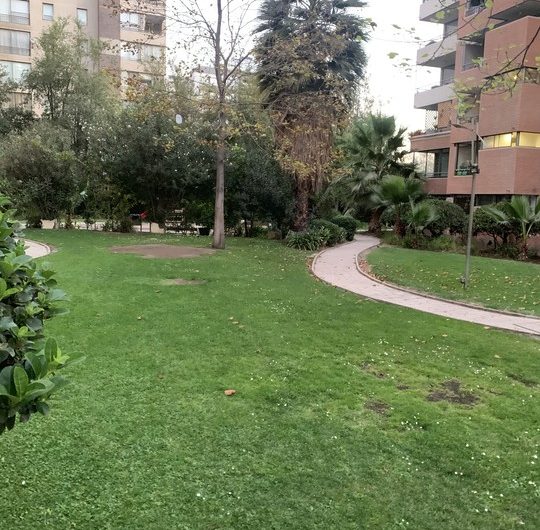 Se Arrienda Hermoso departamento en excelente zona de Ñuñoa