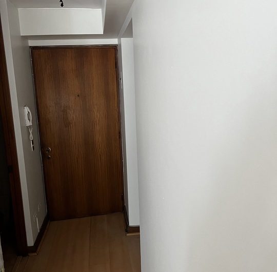 Se vende amplio e ilumidado departamento en bella Zona
