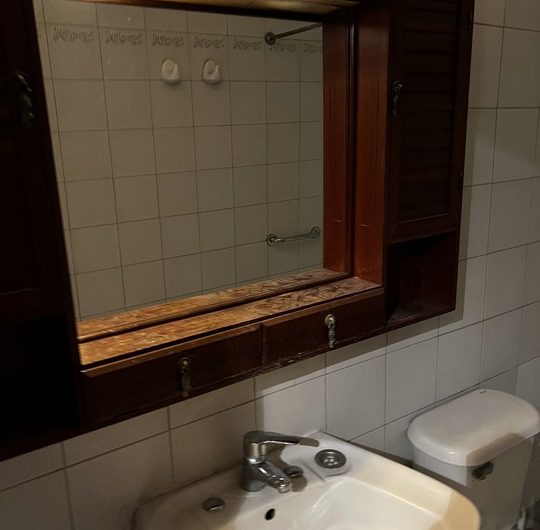 Se vende amplio e ilumidado departamento en bella Zona