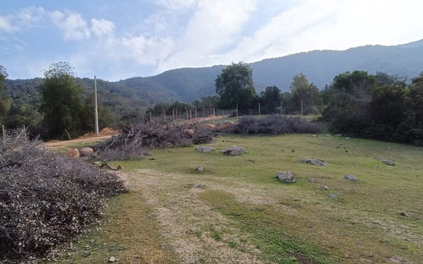 Parcela en venta, Pilares Verdes, parcela 308, Las Cabras