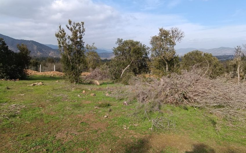 Parcela en venta, Pilares Verdes, parcela 118, Las Cabras