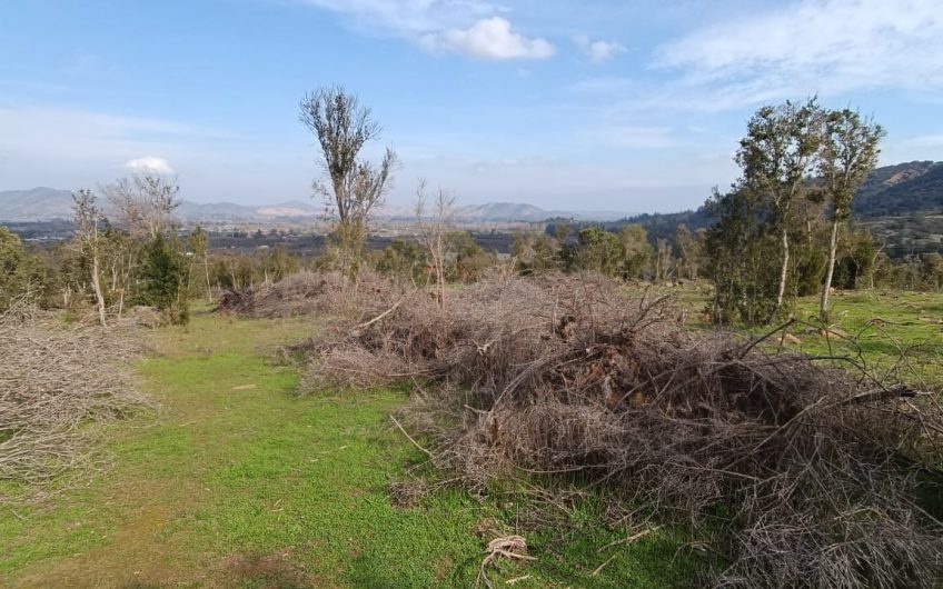 Parcela en venta, Pilares Verdes, parcela 119, Las Cabras