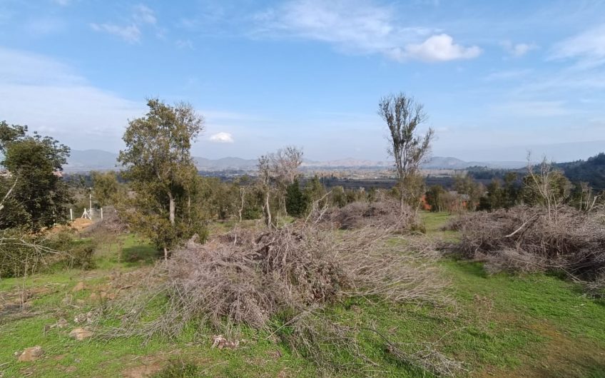Parcela en venta, Pilares Verdes, parcela 118, Las Cabras