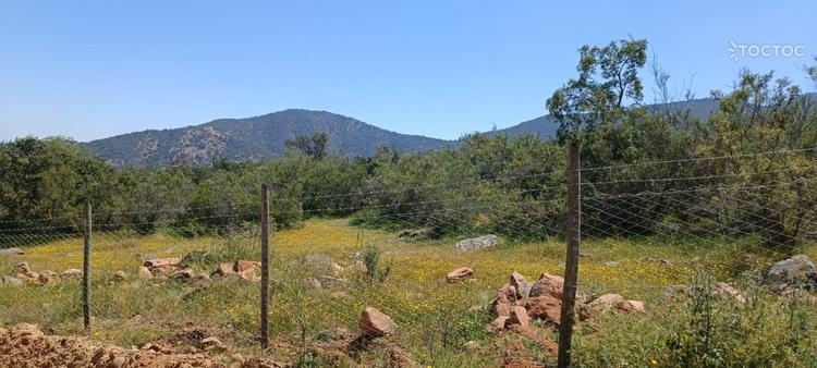 Espectacular Parcela en Pilares Verdes