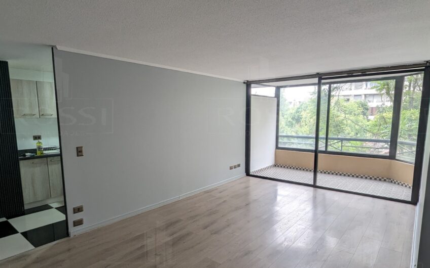 Arriendo de Departamento Remodelado en Federico Froebel, Providencia