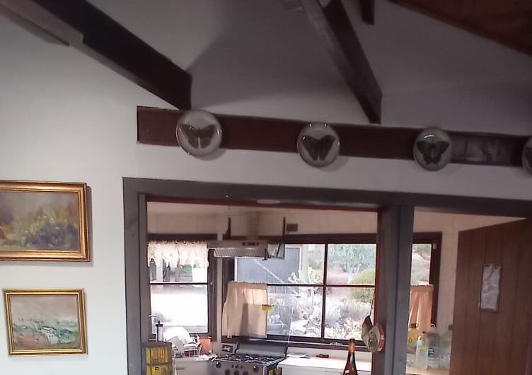 Arriendo Parcela en Condominio Bahía Azul – Seguridad y Acceso al Mar