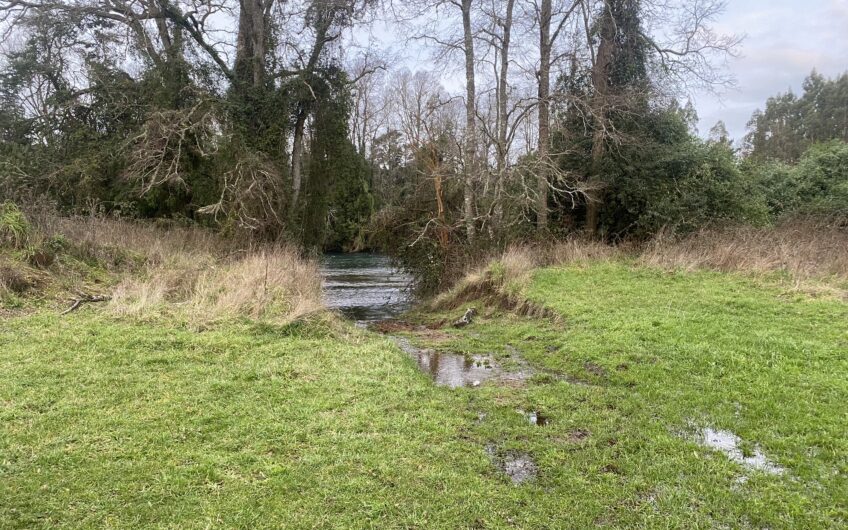 Parcela en Robles del Rahue con acceso directo al río Rahue