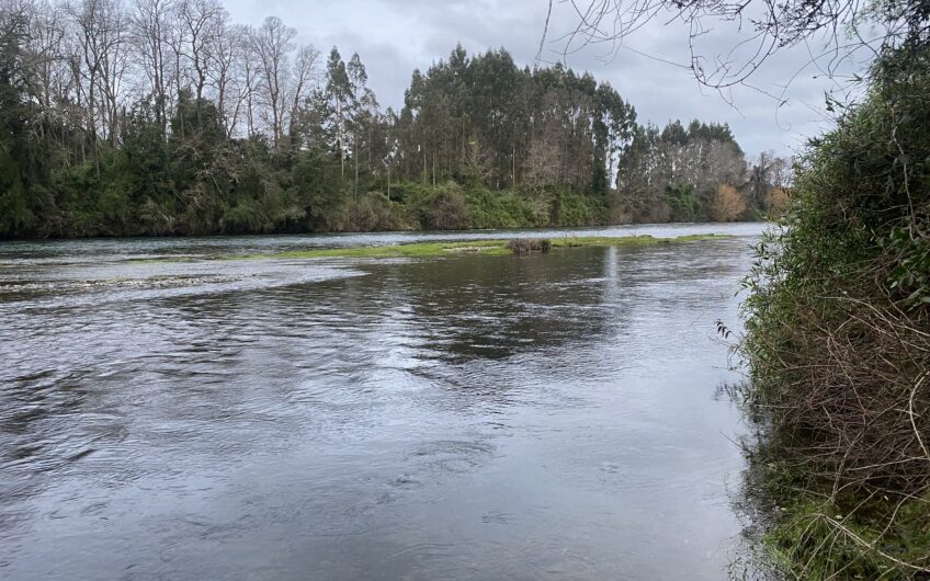 Parcela en Robles del Rahue con acceso directo al río Rahue