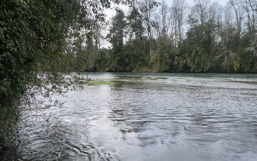Parcela en Robles del Rahue con acceso directo al río Rahue