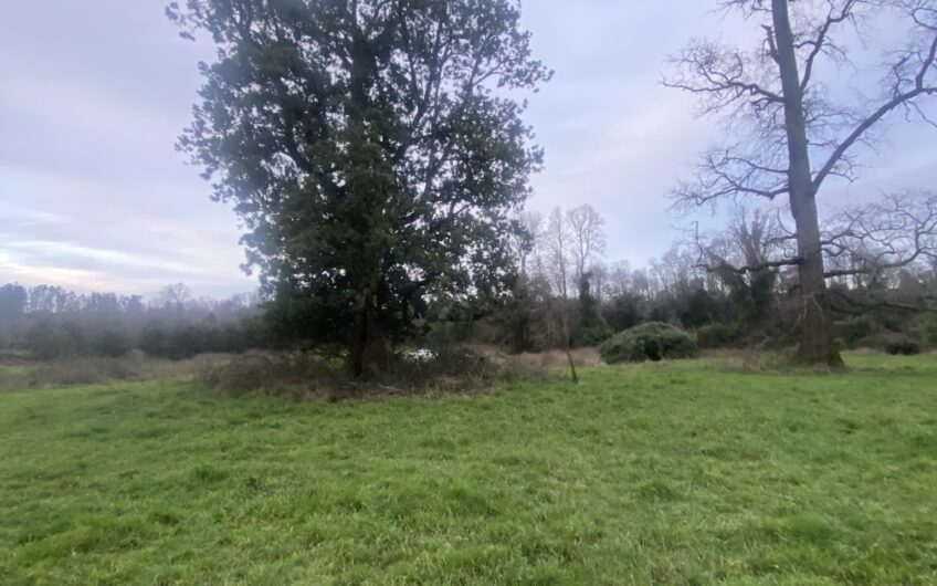 Parcela en Robles del Rahue con acceso directo al río Rahue