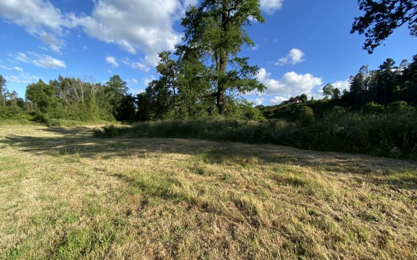 Parcela en Robles del Rahue con acceso directo al río Rahue