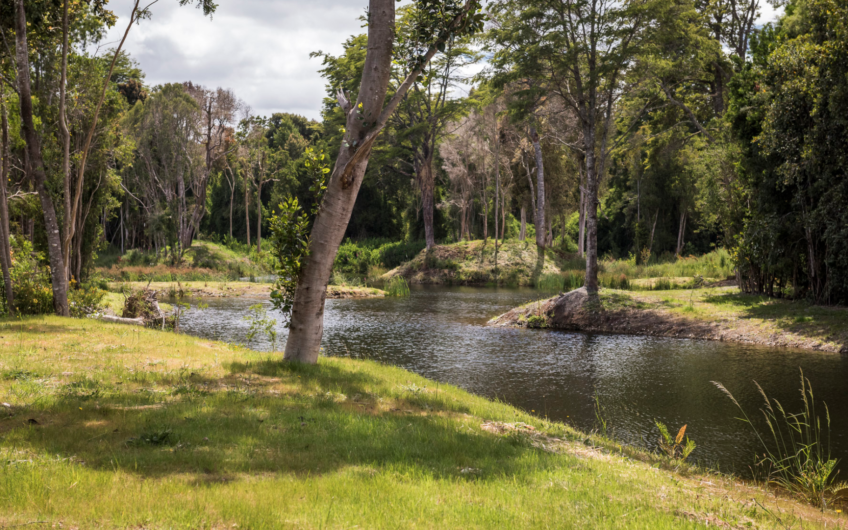 Parcela En La Reserva De Frutillar