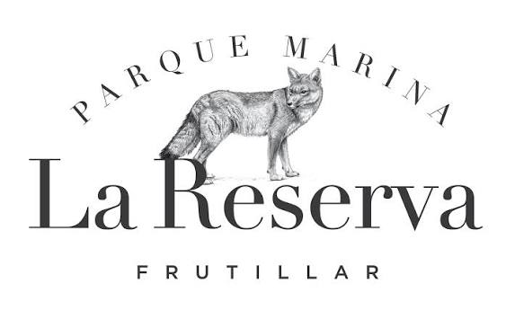 Parcela En La Reserva De Frutillar